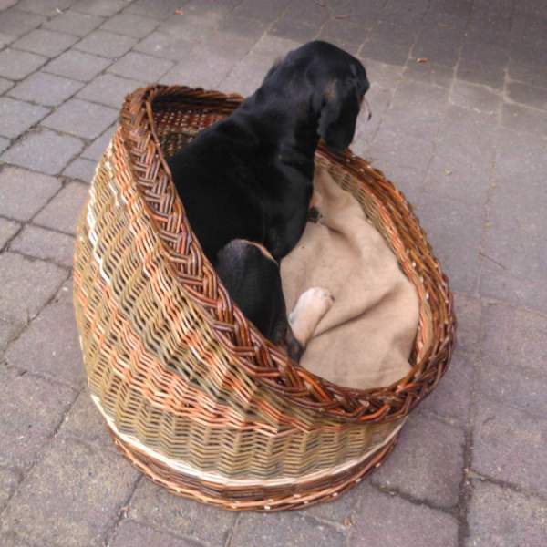 dogbaskets