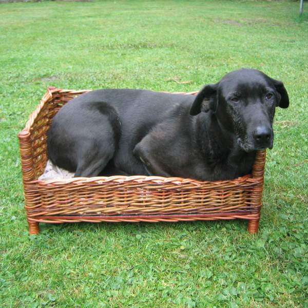 dogbaskets