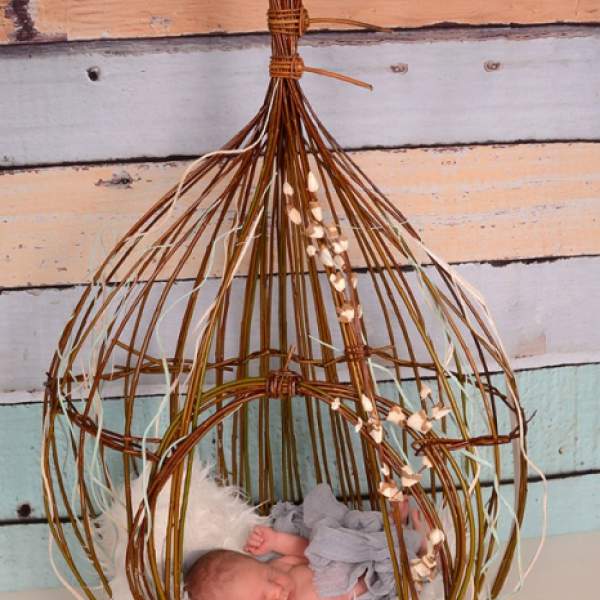 birth basket