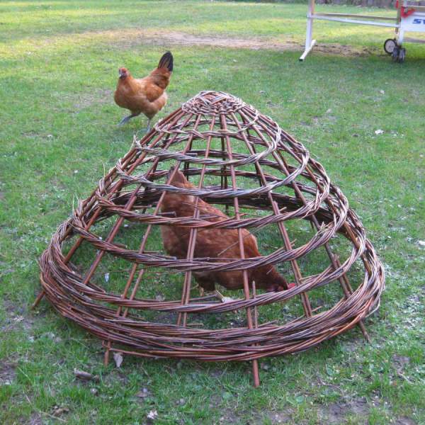 chickenbasket