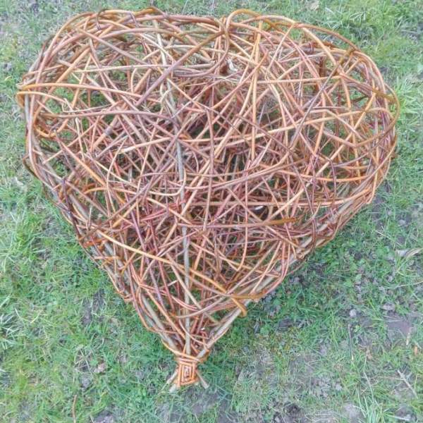 willow heart