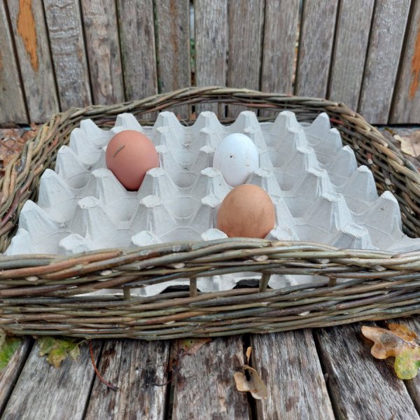 egg basket 1 palet